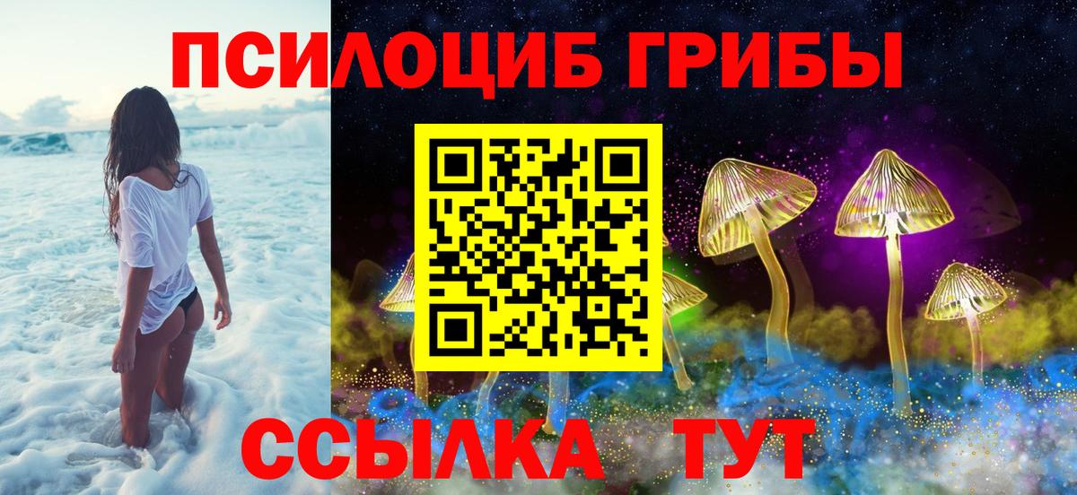 Людиново  Галлюциногенные грибы прущие грибы  Вход с VPN 